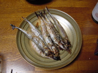 Japanese Breakfast - Sakana (Shisyamo) 